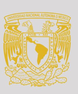 Especialista en Cirugía General